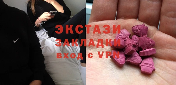 индика Коряжма