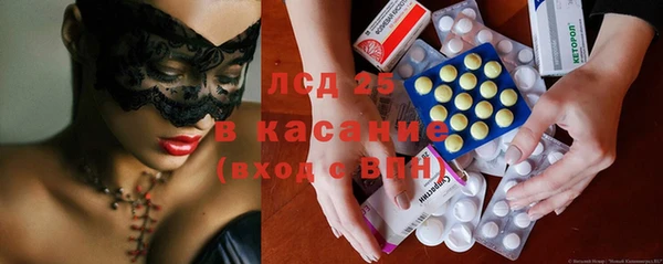 индика Коряжма