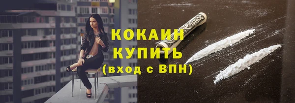 индика Коряжма