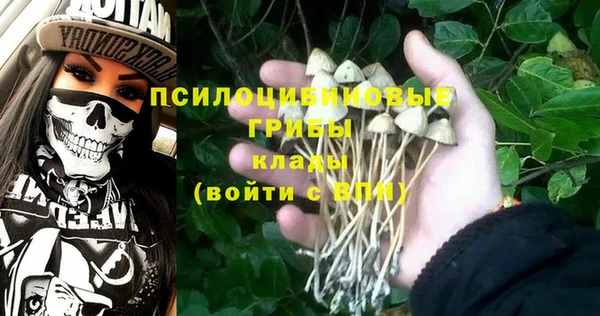 амф Кущёвская