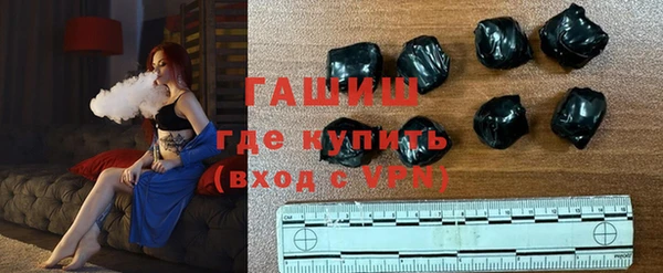 индика Коряжма