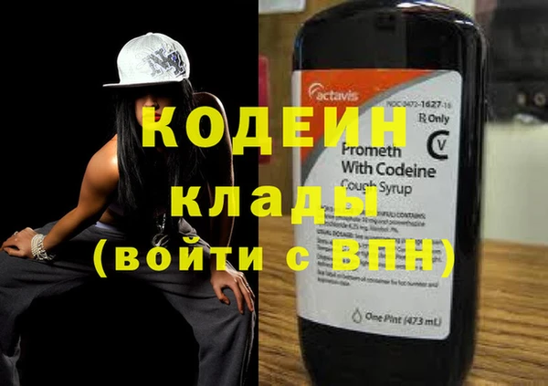 индика Коряжма