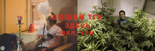 индика Коряжма