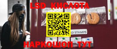 МДПВ Донецк