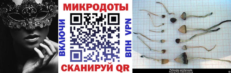 Псилоцибиновые грибы Cubensis  Калуга 