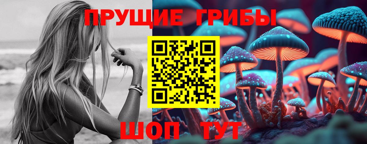 Галлюциногенные грибы прущие грибы  Псилоцибиновые грибы MAGIC MUSHROOMS  Калуга  Вход с VPN 