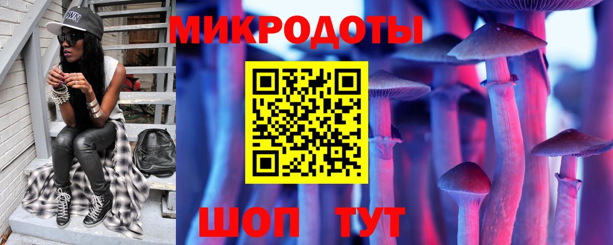 Галлюциногенные грибы Psilocybine cubensis Калуга