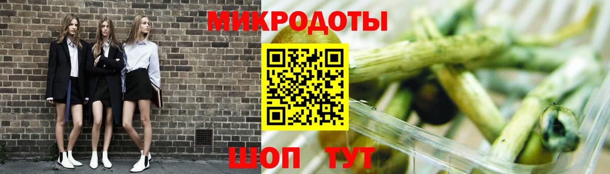 Галлюциногенные грибы Psilocybe  Калуга 