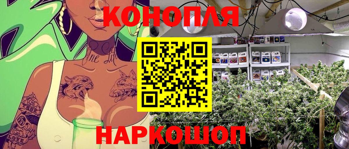 Бошки марихуана Ganja  Калуга  МАРИХУАНА OG Kush  Каннабис план  Бошки Шишки марихуана 